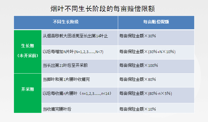 中国人保公司湖南省分公司 烤（晒）烟种植综合保险条款