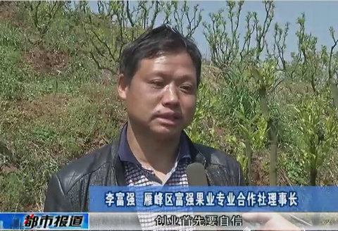 李富强：一颗“枣”圆了农民致富梦