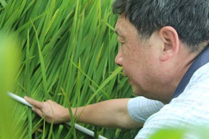 唐春生植保奔跑在“服务三农”的路上（田野篇）